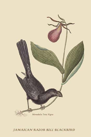 Whisper please, Image is sleeping.