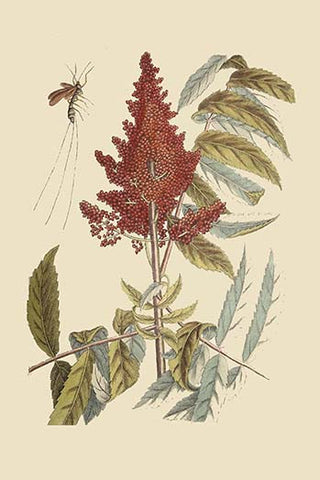 Whisper please, Image is sleeping.