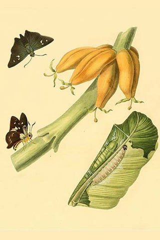 Whisper please, Image is sleeping.