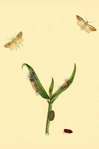 Whisper please, Image is sleeping.