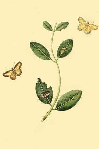 Whisper please, Image is sleeping.