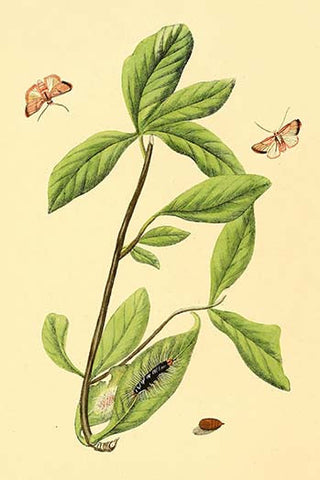 Whisper please, Image is sleeping.