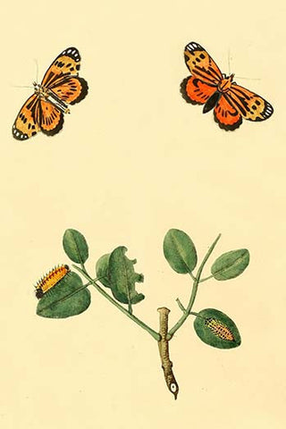 Whisper please, Image is sleeping.