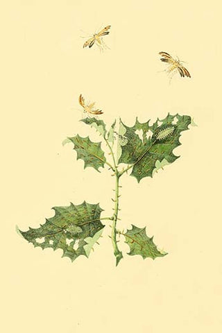 Whisper please, Image is sleeping.