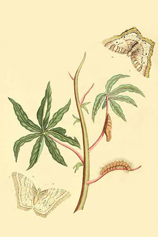 Whisper please, Image is sleeping.