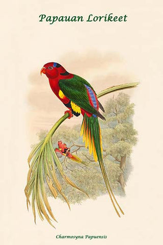 Whisper please, Image is sleeping.