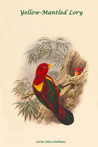 Whisper please, Image is sleeping.