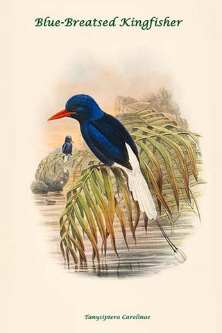 Whisper please, Image is sleeping.