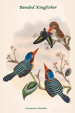 Whisper please, Image is sleeping.