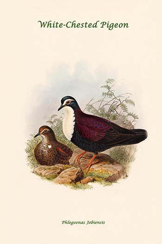 Whisper please, Image is sleeping.