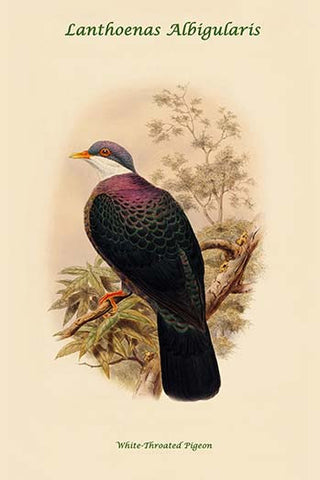 Whisper please, Image is sleeping.