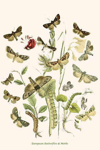 Whisper please, Image is sleeping.