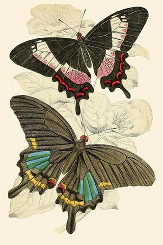 Whisper please, Image is sleeping.